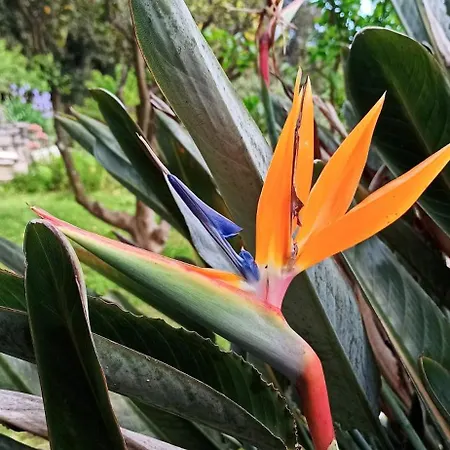 La Piazzetta Di Gra E Baldo Lägenhet Sestri Levante