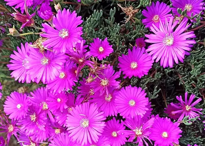 La Piazzetta Di Gra E Baldo 세스트리레반떼