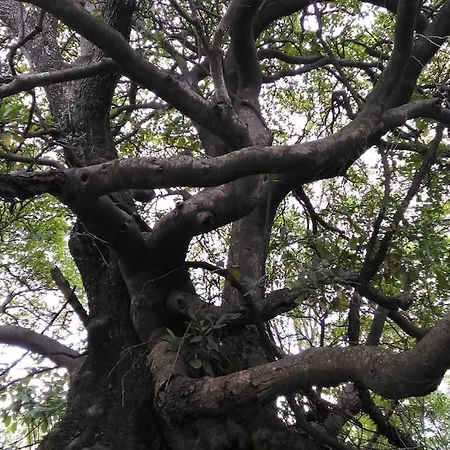 La Piazzetta Di Gra E Baldo *