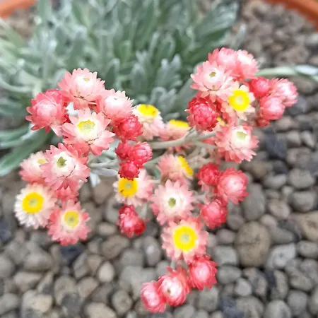 公寓 La Piazzetta Di Gra E Baldo *