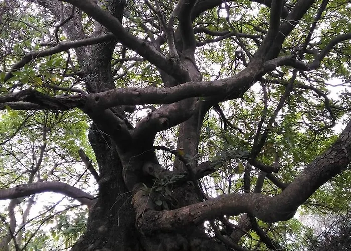 La Piazzetta Di Gra E Baldo *