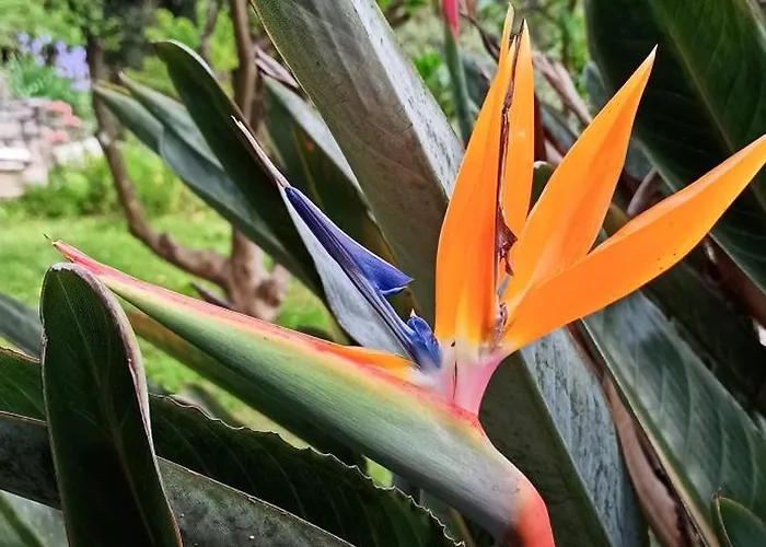 La Piazzetta Di Gra E Baldo Lejlighed Sestri Levante