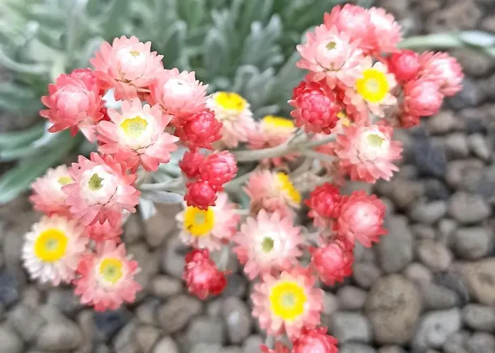 Lejlighed La Piazzetta Di Gra E Baldo *